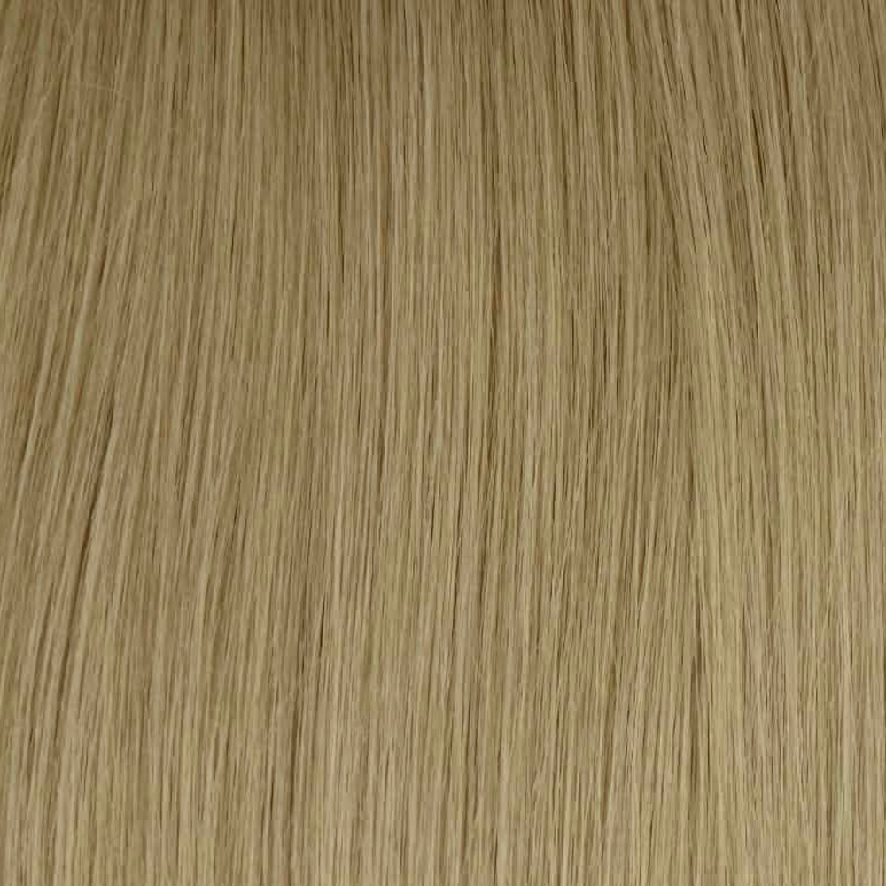 #7 Champagne Blonde – ponytail extensions, nuance set tæt på